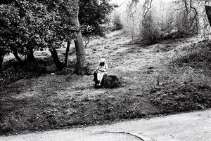 Picnic - Carlton Hill