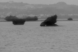 Drizzling Bay-08