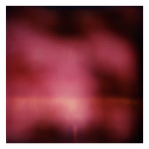 Twilight | The Secret Life of Plants III