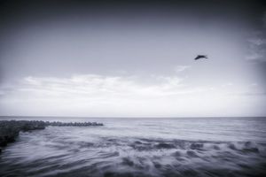 Like a wave