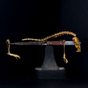 Bone Still-life