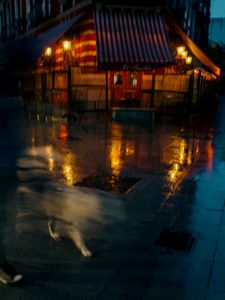 The poetry of the rain