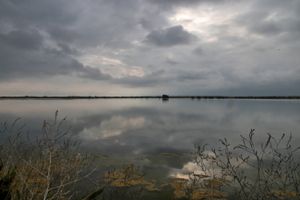 Ile-de-Ré