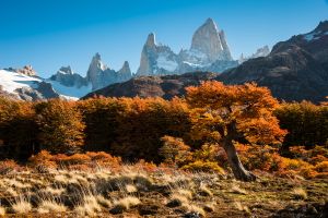 Autumn at Mt.Chalten-2