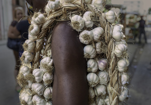 The garlic seller.