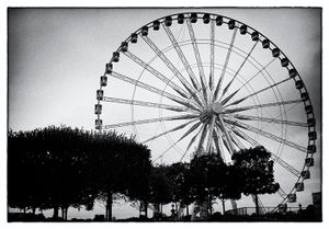 Trees and Ferris Wheel.