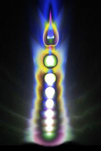 Nikola's Chakra