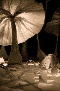 Little Forest © Amber Hall