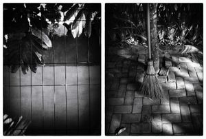 unfinished story - Leaves begin to sprout, at least sweep the home page becomes easier and light.© Indra Widi