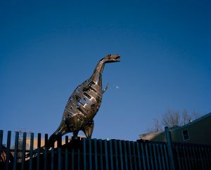 Dinosaur sculpture in Yard