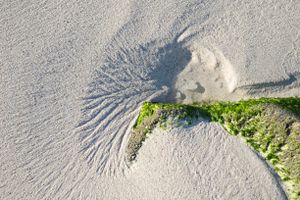 White Sand Texture and Pattern on Isla Espanola in the Galapagos