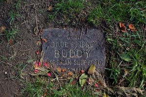 Our True Friend Buddy, Oregon Humane Society Animal Cemetery