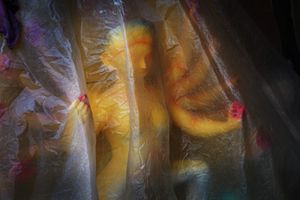 Wrapping