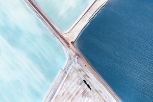 Blue Fields No 5