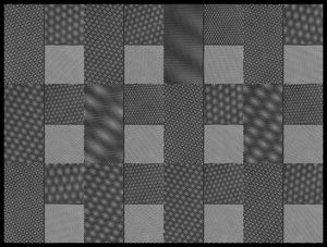 Interference for D.R.