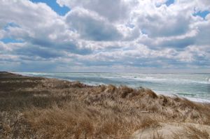 Madaket, Nantucket, 2007