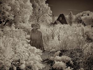© Mildred Alpern