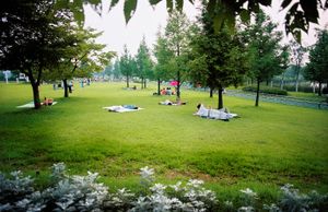 On the grass, from the Paradise Island series © Hyo-jin In
