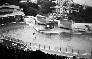 "Ocean Park Hong Kong"