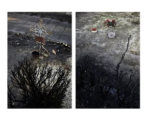 Portraits of a fire / Retratos de un incendio