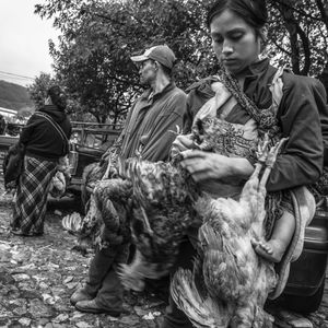 © Francisco Alcala Torreslanda