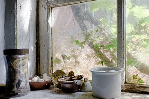 still life against window