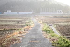 どこまでも続くという思いと永遠性　The feeling and eternity that will last forever