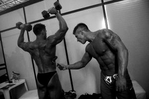Muscles factory