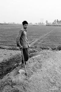 Farm labourer | Dhanda, Punjab.