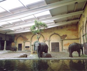 Three Elephants in Hamburg© Ignacio Evangelista