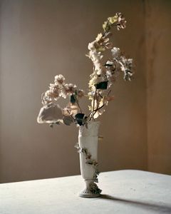 Flowers, 30 x 40 inches, c-print, 2011     © Marisa Portolese