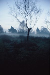 'I am entering the frozen land, although to which country it belongs I cannot say'