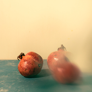 Still life with three ripe pomegranates