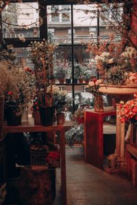 flower shop