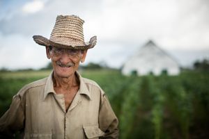 Working the Land