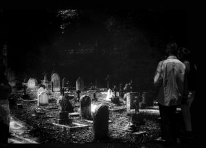 the lights_extract 1