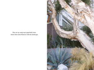 They set up camp near paperbark trees, where their tents blend in with the landscape.