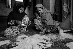 Women sifting rice | Dhanda, Punjab.