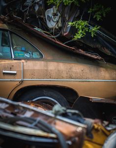 Nestled in Time