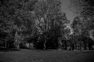 The Long Walk