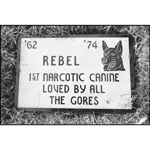 'Rebel 1st Narcotic Dog' 1976