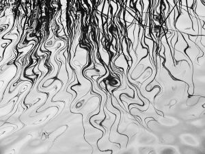 Beside the water II