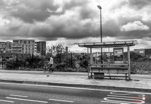 Man Walking Dog, South London