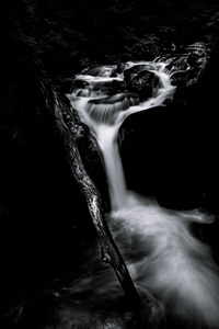 Flow
