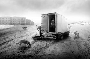 © Samad Ghorbanzadeh