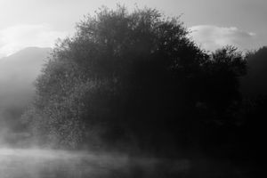 Echoes