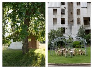 Tree in front of a Building & Sitting in front of a deactivated nuclear power station