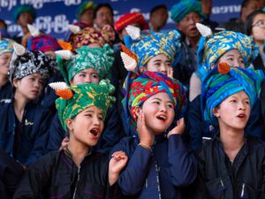 Traditional Audience