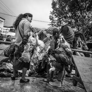 © Francisco Alcala Torreslanda