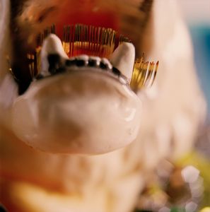 The Bigger Tiger's Jaws Hunt